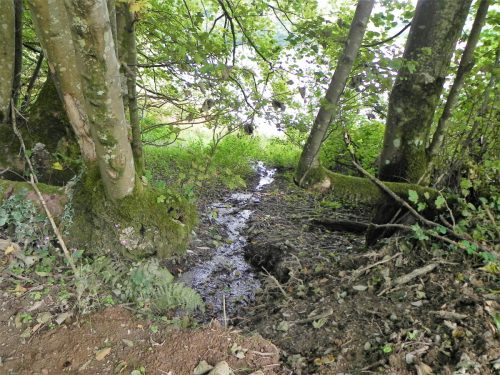 36.-West-bank-stream-joins-the-reservoir-2