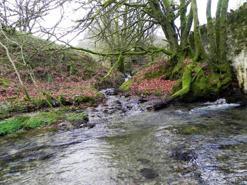 37.-Bale-Water-tributary-of-River-barle-2