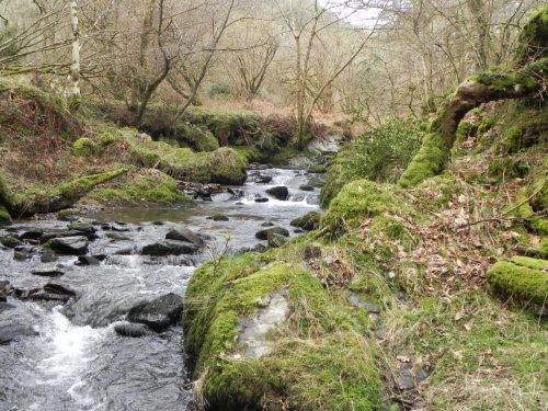 37.-Downstream-from-Stoke-Combe-Footbridge