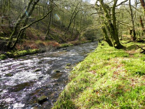 37.-Downstream-from-Venford-Bridge-2