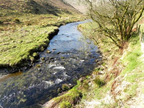 37.-Downstream-from-Wheal-Elisa-2