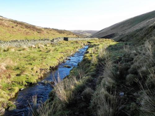 37.-Flowing-below-Hoccombe-Hill-2