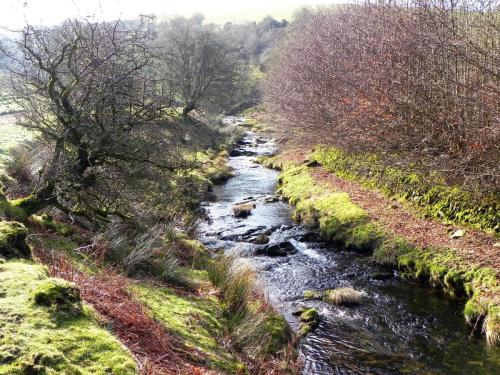 37.-Flowing-below-Stowey-Ridge-2