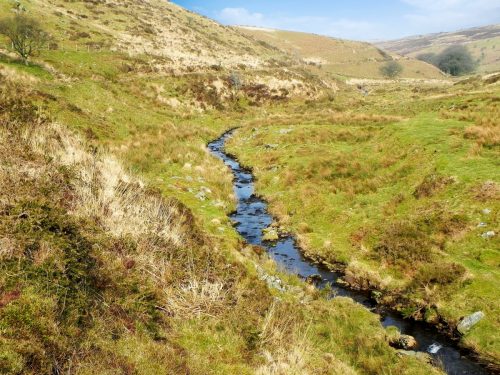 37.-Flowing-between-Hoar-Oak-Hill-and-Exe-Plain-2