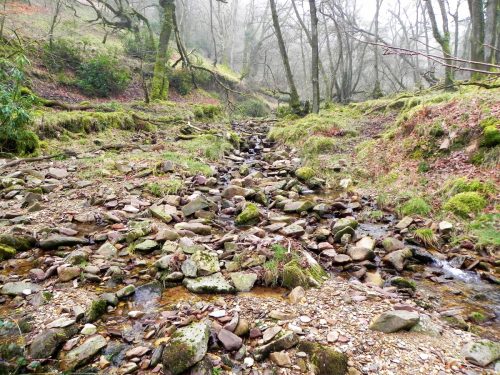 37.-Flowing-through-Mansley-Combe-2