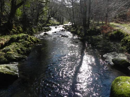 37.-Looking-Upstream-from-Ash-Bridge