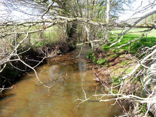 37.-Looking-downstream-from-Holnicote-House-Footbridge-2