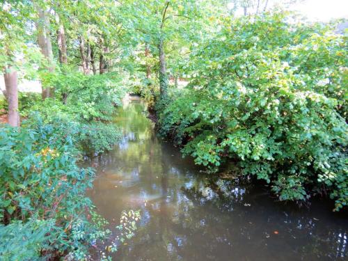 37.-Looking-downstream-from-Mill-Stream-Castle-footbridge-2