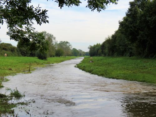 37.-Looking-downstream-from-Obridge-Viaduct-2