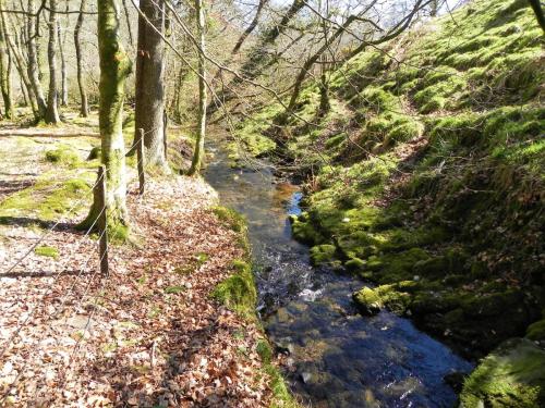 37.-Stream-from-Molland-Common-flowing-to-join-Danes-Brook-2