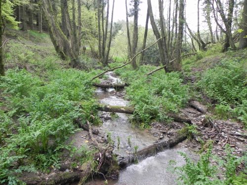 37.-Track-culvert-Hazery-Plantation