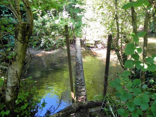 37.-Tuck-Mill-Copse-footbridge-2