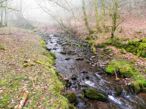37.-Upstream-from-Aller-Combe-2