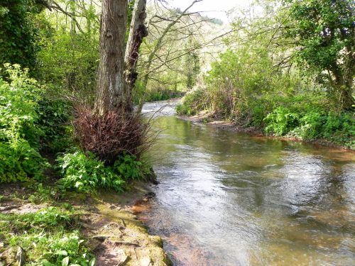 37.-Upstream-from-Gallox-Bridge-2