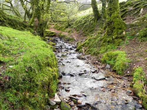 37.-Upstream-from-Holworthy-Ford-2