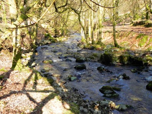 37.-Upstream-from-Smallcombe-Bridge-2