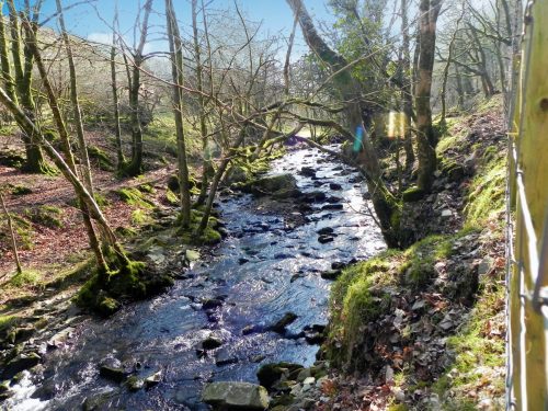 37a.-Upstream-from-Smallcombe-Bridge-2