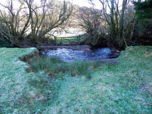 38.-Downstream-from-ROW-BRidge-3217-2