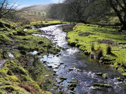 38.-Flowing-below-Furzehill-Common-2