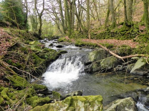 38.-Flowing-below-South-Down-2