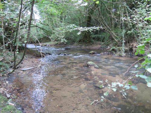 38.-Flowing-through-Weir-Copse