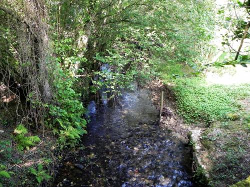 38.-Looking-Upstream-from-Huish-Bridge-2