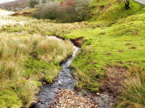 38.-Looking-downstream-from-Chetsford-Bridge-2
