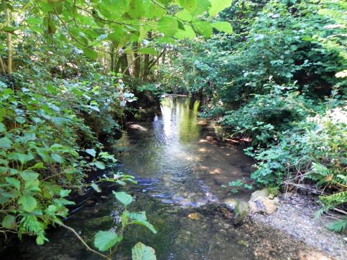 38.-Looking-downstream-from-Tuck-Mill-Copse-footbridge-2