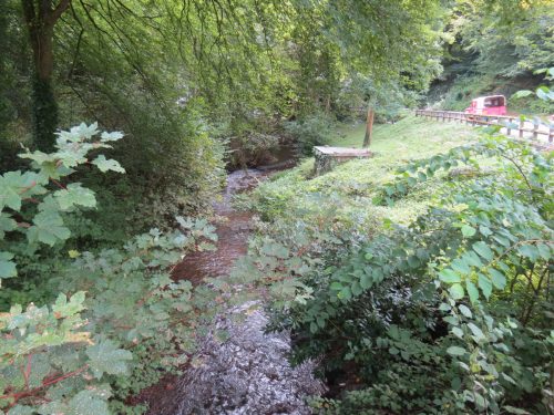 38.-Looking-downstream-to-Waterrow-Bridge
