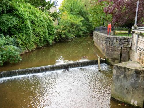 38.-Looking-upstream-from-Mill-Stream-return-sluice-gate-2