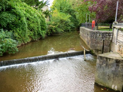 38.-Looking-upstream-from-Mill-Stream-return-sluice-gate-2