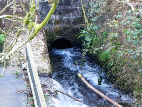 38.-Outflow-to-River-Barle-2