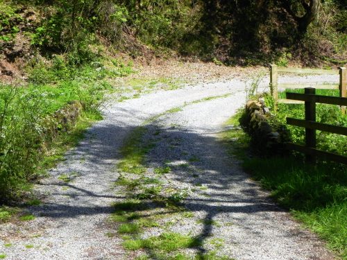 38.-Slowley-Wood-ROW-Bridge-3125-2