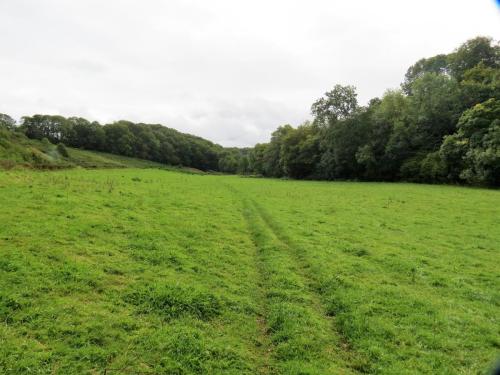 38.-Tone-Valley-between-Tracebridge-and-Greenham-2