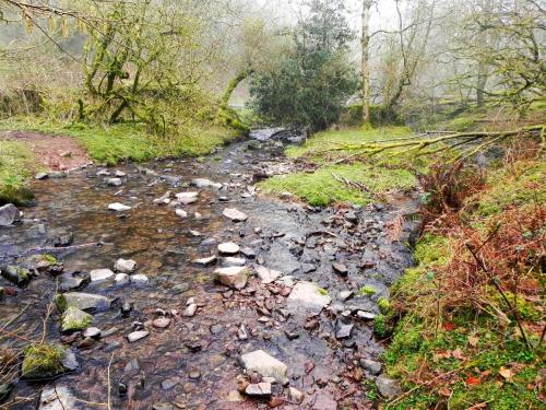 38.-Upstream-from-Aller-Combe-2
