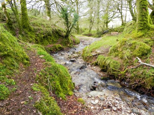 38.-Upstream-from-Holworthy-Ford-2