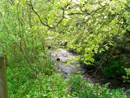 38.-Upstream-from-Kingsbridge-3