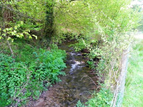 38.-Upstream-from-Kingsbridge-4