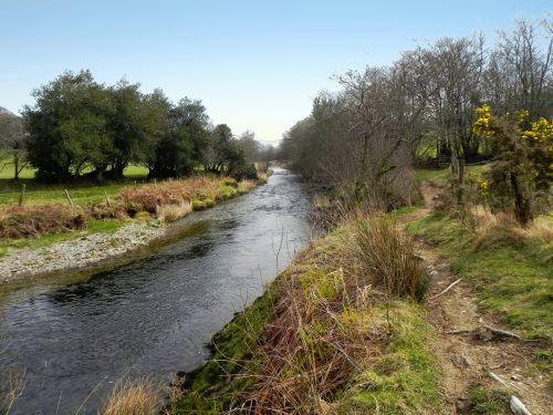 38.-Upstream-from-Knighton-Combe-2