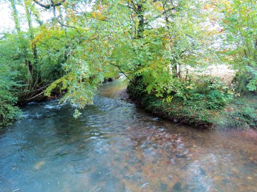 38.-Upstream-from-Lutley-Bridge-2