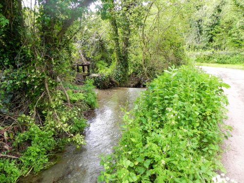 38.-Upstream-from-Pitt-Mill-weir-2