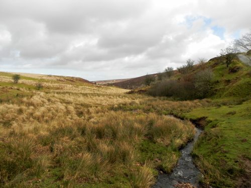 39.-Downstream-from-Chetsford-Bridge-2