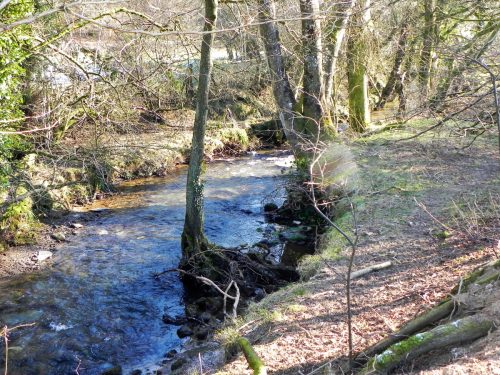 39.-Downstream-from-ROW-BRidge-3217-2