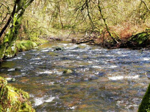 39.-Downstream-from-Venford-Bridge-2