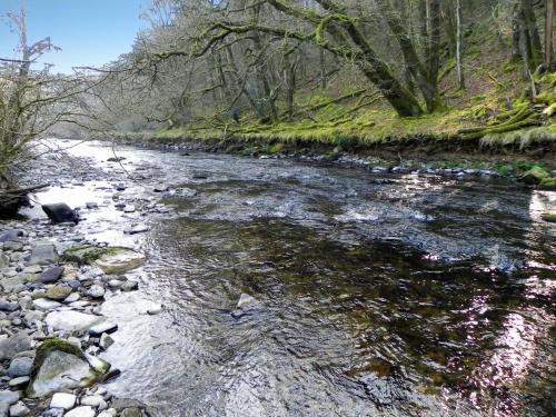 39.-Flowing-Past-Great-Birchcleeve-Wood-2