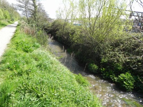 39.-Flowing-alongside-the-West-Somerset-Mineral-Railway-footpath