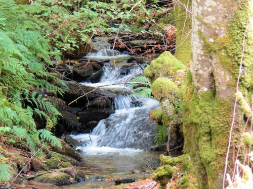 39.-Flowing-below-Beaters-Rocks-2