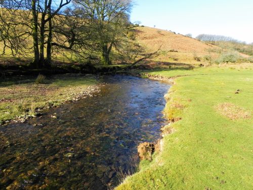 39.-Flowing-below-Furzehill-Common-2