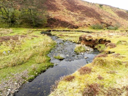 39.-Flowing-below-Pig-Hill-2