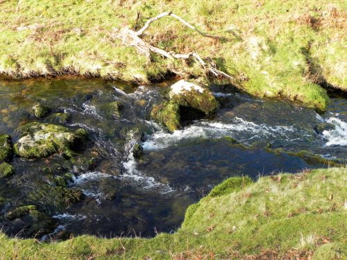 39.-Flowing-below-Stowey-Ridge-2